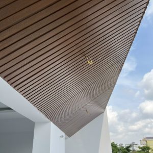 Tấm ốp tường/ vẩy cá ngoại thất